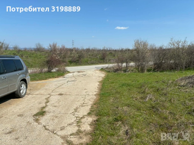 продавам лозе