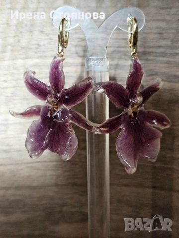 Обеци с естествен цвят на орхидея , снимка 11 - Обеци - 52387375