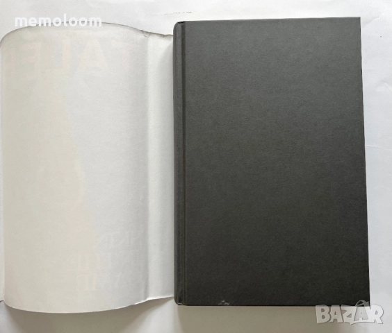 Nassim Nicholas Taleb Skin in the Game: Hidden Asymmetries in Daily Life, снимка 2 - Специализирана литература - 52772320