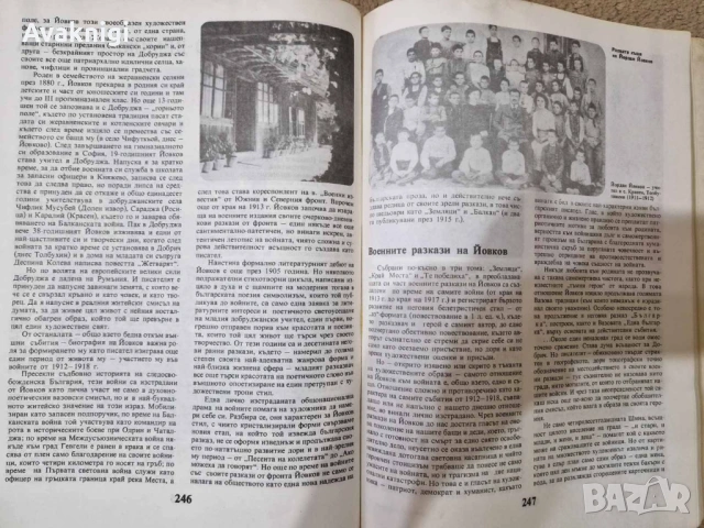 Учебник по литература за 10. клас, 350 стр., снимка 3 - Учебници, учебни тетрадки - 54154306