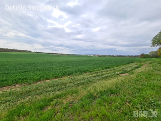 Поземлен земеделски имот , снимка 5 - Земеделска земя - 50649780