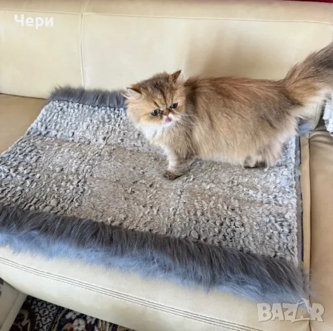 Къщичка за котка и постелка 2 в 1, снимка 5 - За котки - 49840840