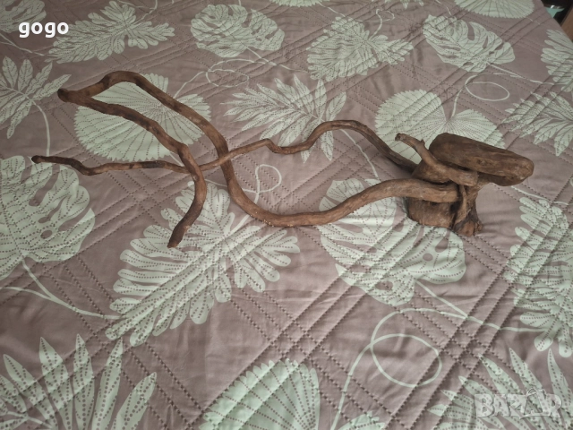 Корен за Аквариум , снимка 5 - Оборудване за аквариуми - 52511615