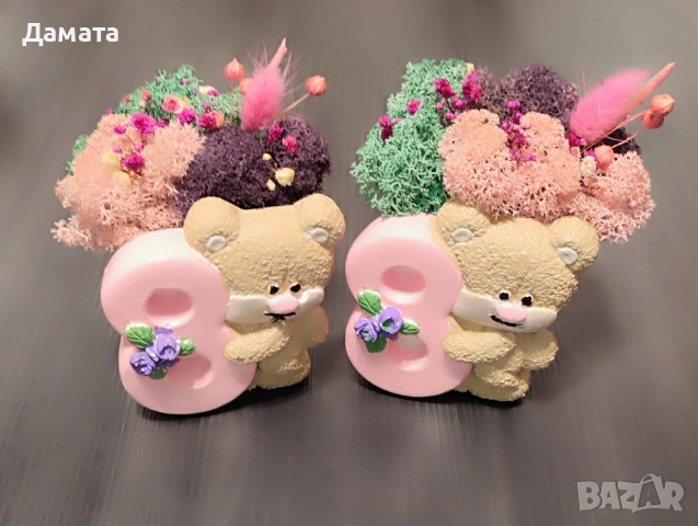 Различни видове кашпи със скандинавски мъх 