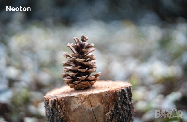 Продавам камера MINOLTA X-700 с обектив MINOLTA MD 50mm f/2, снимка 17 - Фотоапарати - 53581300