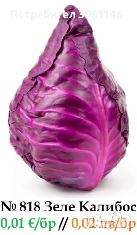 Семена за Стотинки, снимка 13 - Сортови семена и луковици - 52838410