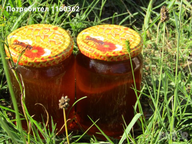Мед от чист район село Кътина, снимка 1 - Пчелни продукти - 46156545