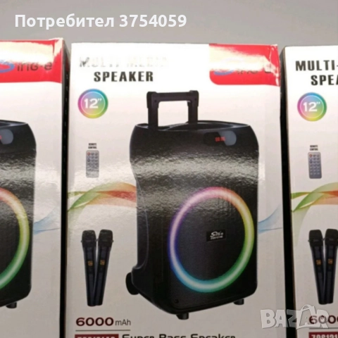 Преносима караоке тонколона Sing-e (12") с мощен бас, снимка 3 - Тонколони - 52246713