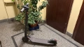 Тротинетка Segway Ninebot, снимка 1