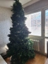 Елха коледна  2,50м., снимка 1