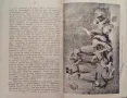 Пътуване по централна Азия А. Вамбери /1907/, снимка 5