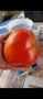 Семена, селски домати и др!, снимка 5
