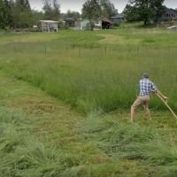 Косене на трева с възможност ръчно или с специализирана техника, снимка 1 - Други - 45380785