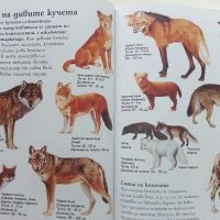 В света на - Вълците и дивите кучета - 2003г., снимка 5 - Енциклопедии, справочници - 45625469