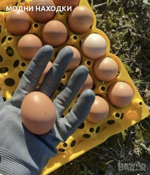 Домашни яйца Л размер  от свободно отглеждани кокошки, снимка 1