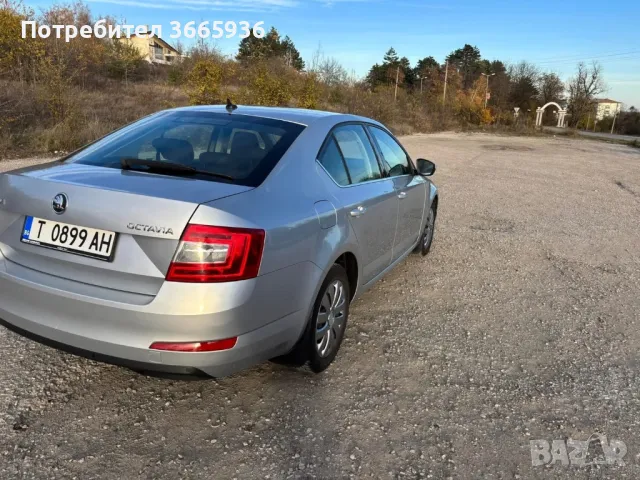 Skoda OCTAVIA 1.6 TDI DSG7 2014, снимка 4 - Автомобили и джипове - 47858843