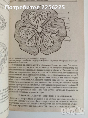 Ръководство за практически занятия по ботаника с екология, снимка 3 - Специализирана литература - 52170323