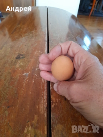 Старо дървено яйце #14, снимка 4 - Други ценни предмети - 53248149