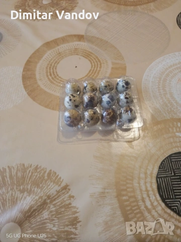 Пъдпъдъчи яйца Винаги пресни, снимка 2 - Кокошки и пуйки - 53235154