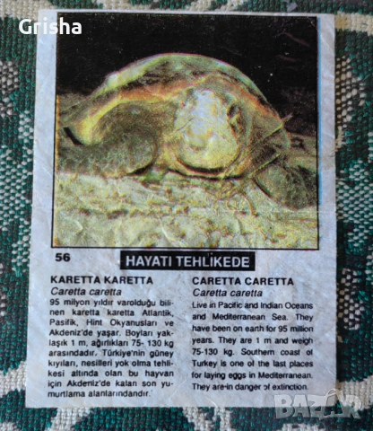 Картинка от дъвка Чин Чин животни, Cin -Cin animals