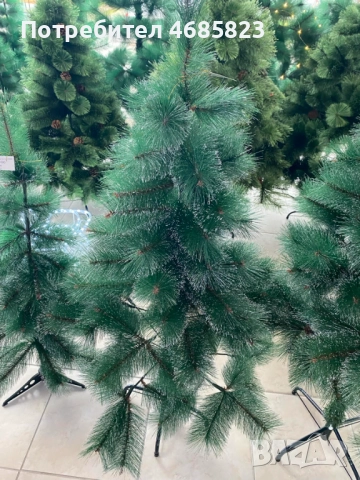 КОЛЕДНА И НОВОГОДИШНА ЕЛХА 