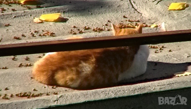 JVC GR D270, снимка 13 - Камери - 52059229