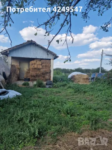 Парцел в полк. Минково, Добрич, снимка 2 - Парцели - 47383884