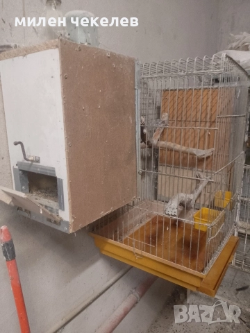 кутии за папагали и клетки развъдни, снимка 6 - За птици - 52777357