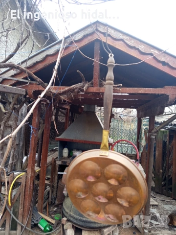 Тиган за охлюви , яйца, д-р 