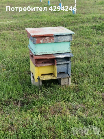 Пчелни кошери , снимка 5 - За пчели - 54136099