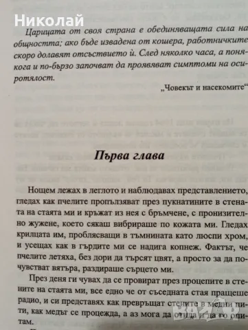 Тайният живот на пчелите - Сю Монк Кид, снимка 2 - Художествена литература - 49365757