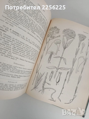 Флора на Н Р България ( том 3 ), снимка 6 - Специализирана литература - 53113412