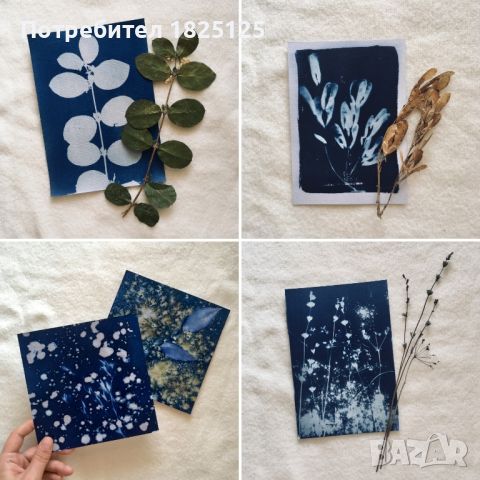 Материали за Цианотипия Cyanotype комплекти, разтвори, вещества, химия, снимка 12 - Декорация за дома - 45163868