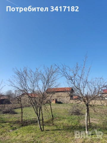 Дворно място