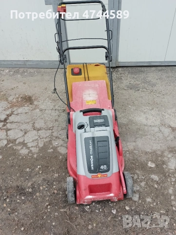 Волф хибрит