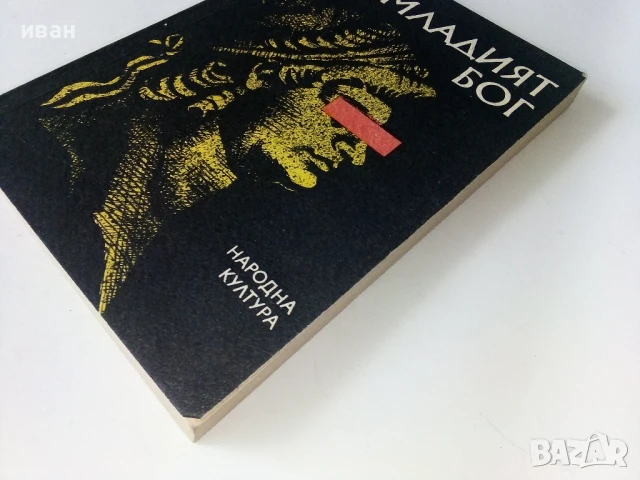 Младият Бог - Алма Йохана Кьонинг - 1989г., снимка 6 - Художествена литература - 50695103