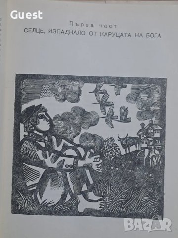 Изпаднали от каруцата на бога Йордан Радичков, снимка 2 - Българска литература - 48482889