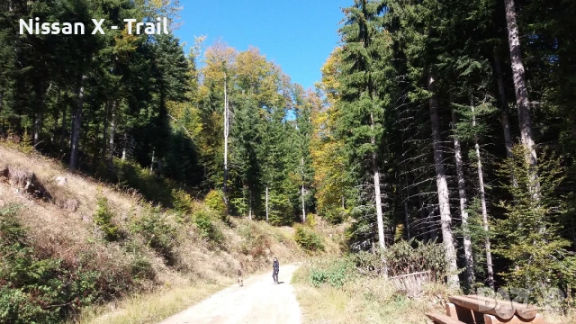 Къща за гости МАНАСТИРЪ , снимка 10 - Къщи - 48915636