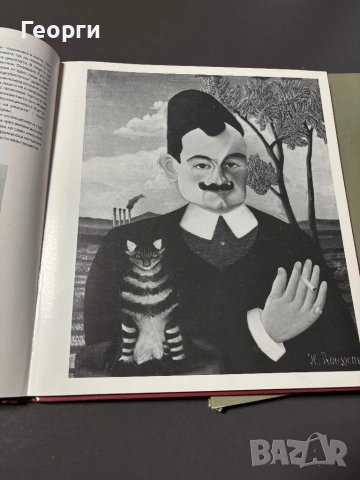 Книга с албум на Анри Русо и Донатело, снимка 9 - Други - 53801298