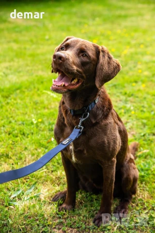 Изключително здрав повод за кучета Mountain Paws | Двуслойна тъкан с мека дръжка, 1,15 метра, червен, снимка 2 - За кучета - 44167138