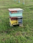 Пчелни кошери , снимка 5