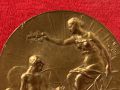 Медал Международно изложение Париж Франция 1910 г. ?, снимка 3