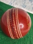 Нова Кожена Топка за Крикет Индия, снимка 3