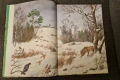 Детски книжки на руски език , снимка 18