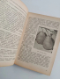 Наръчник по овощарство 1960г, снимка 10