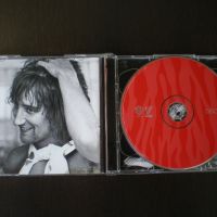 Rod Stewart ‎– Some Guys Have All The Luck 2008 2×CD, Compilation Двоен диск, снимка 2 - CD дискове - 45471763