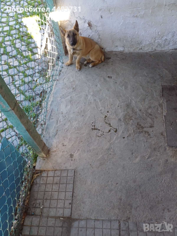 Продавам или заменям , снимка 1