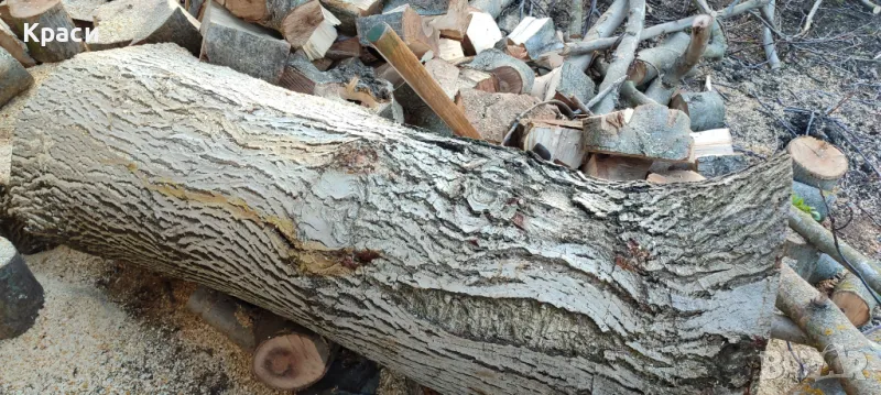 Дървен материал орех обелен, снимка 1