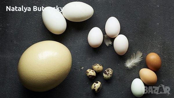 Яйца за консумация,  оплодени яйца от кокошки, лебедови гъски , снимка 1
