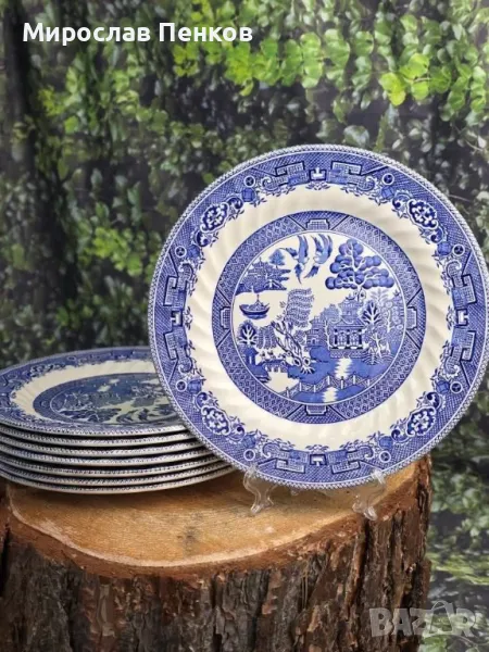 Чинии, снимка 1